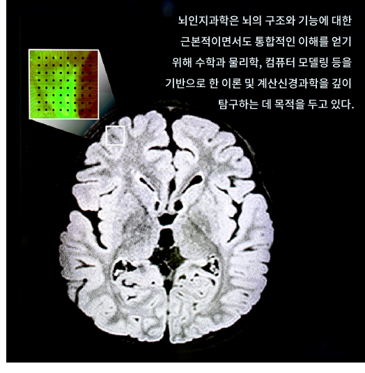 BCS NEWS | KAIST 뇌인지과학과 Bcs News | Kaist 뇌인지과학과